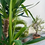 Moro House 公寓 斯菲拉卡瓦洛